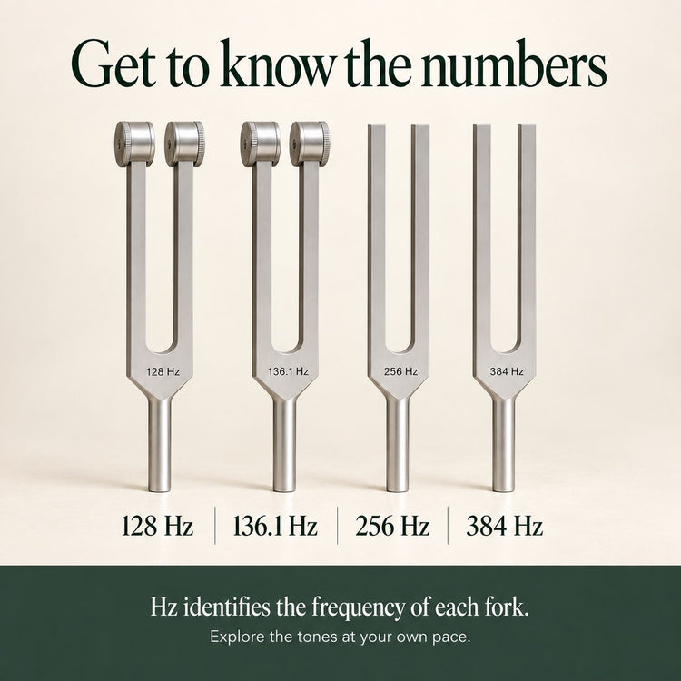 Hz identifies the frequency of each fork. Explore the tones at your own pace.
