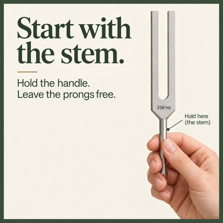 Hold the narrow stem and leave the prongs free.